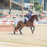 RQS Show Jumping #59