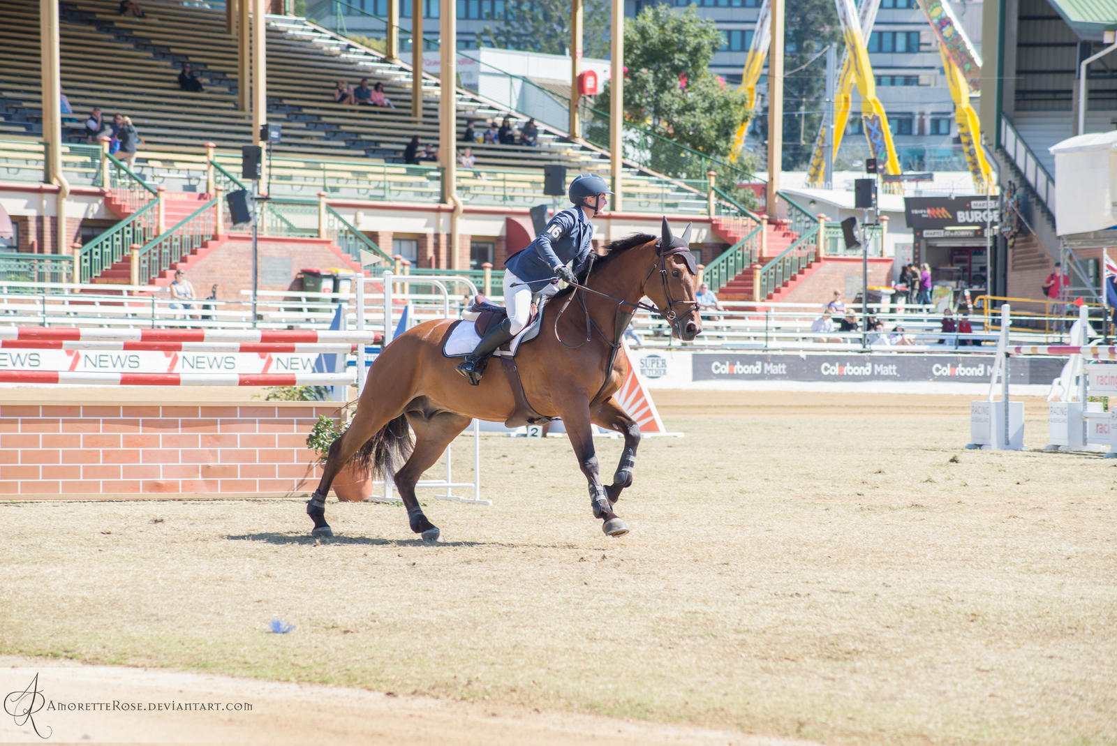 RQS Show Jumping #59 by AmoretteRose on DeviantArt