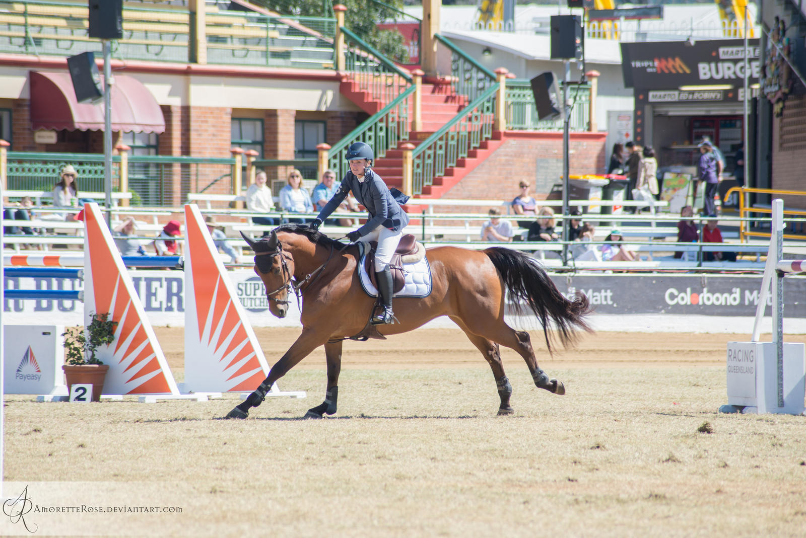 RQS Show Jumping #58 by AmoretteRose on DeviantArt