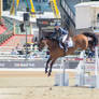 RQS Show Jumping #57