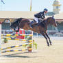 RQS Show Jumping #55