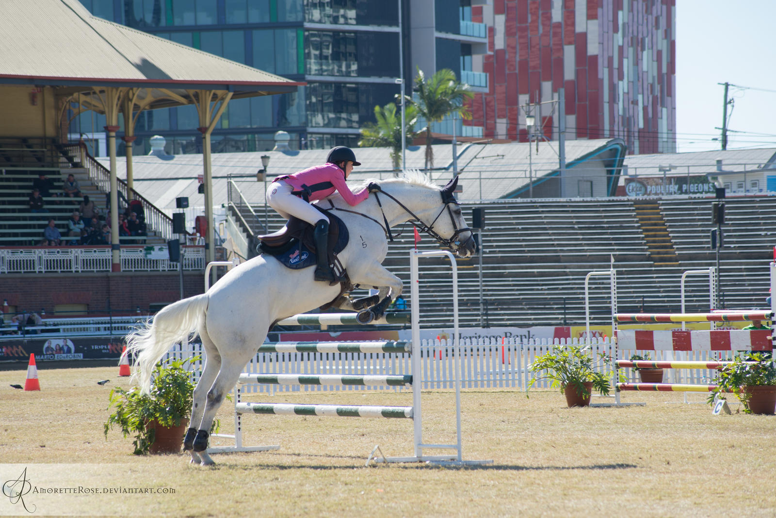 RQS Show Jumping #196 by AmoretteRose on DeviantArt