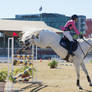 RQS Show Jumping #189