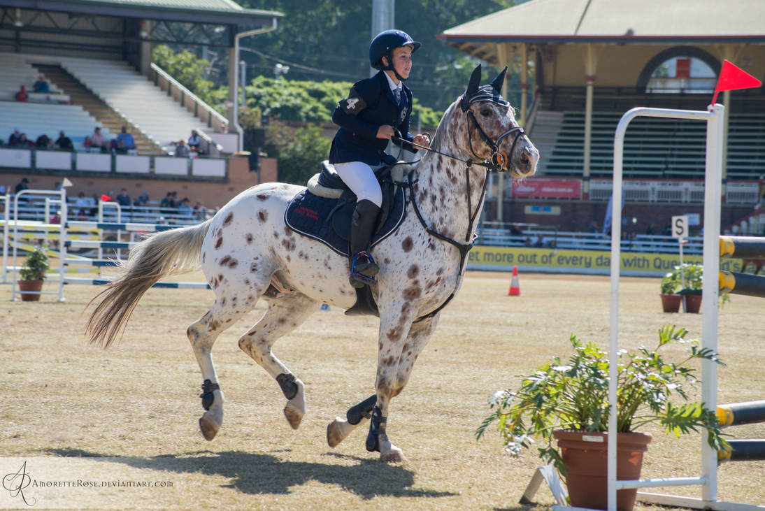 RQS Show Jumping #102 by AmoretteRose on DeviantArt