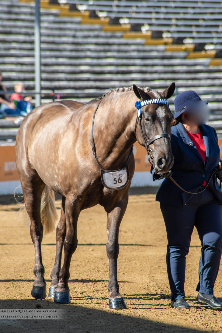 RQS Colourama #105 by AmoretteRose on DeviantArt