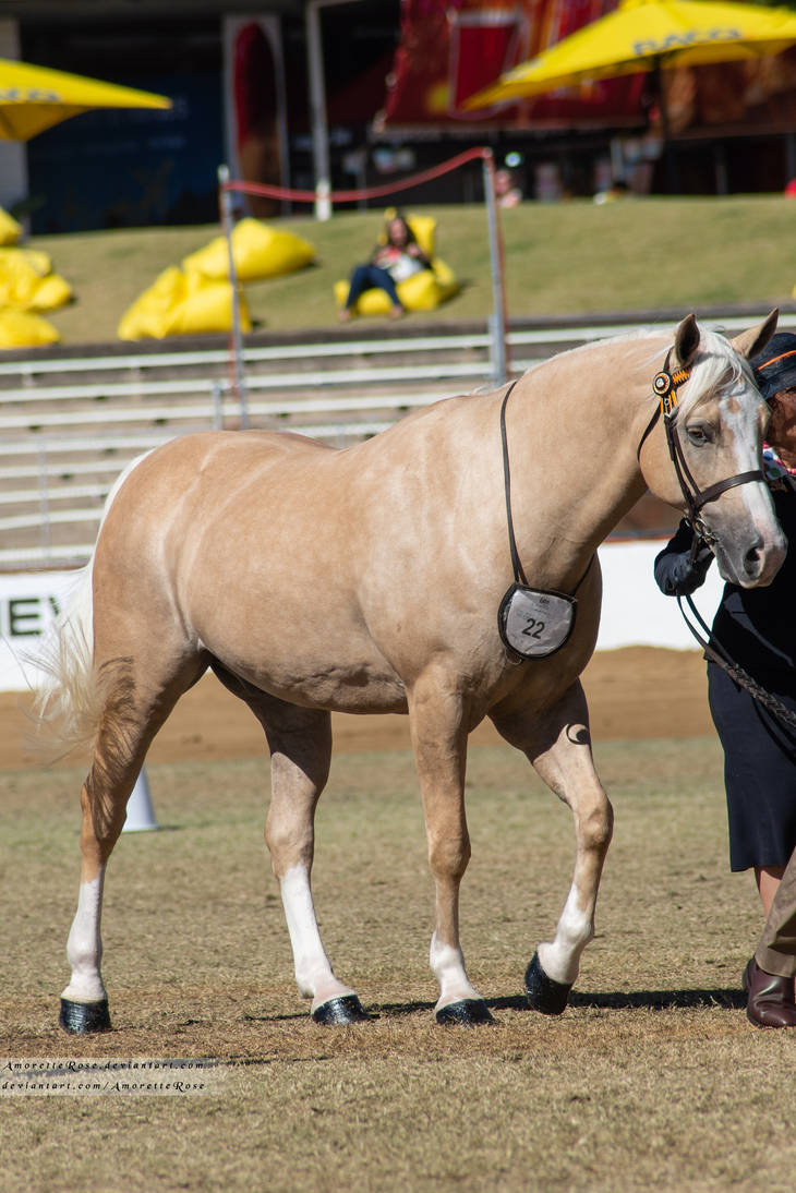 RQS Colourama #35 by AmoretteRose on DeviantArt