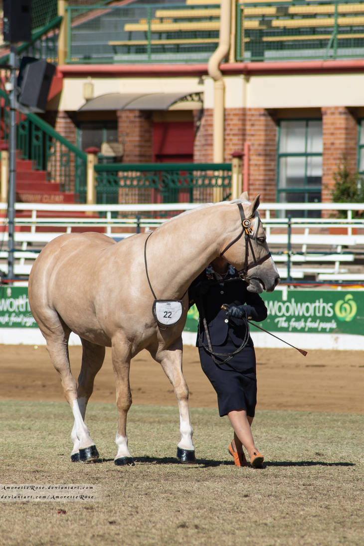 RQS Colourama #31 by AmoretteRose on DeviantArt