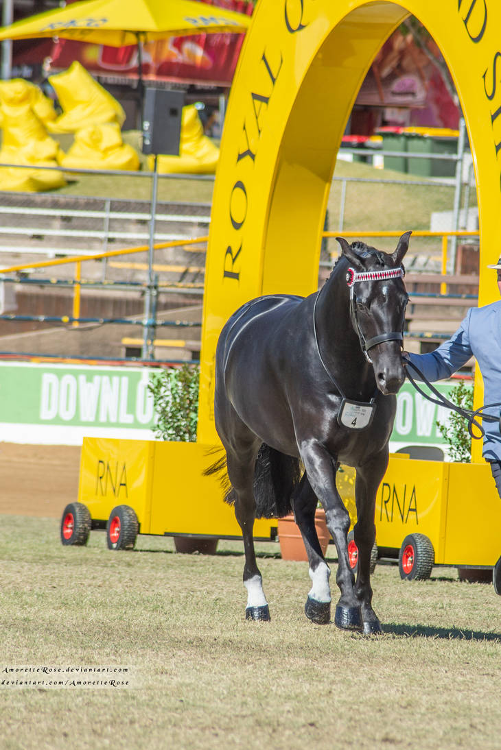 RQS Arab Derivative #58 by AmoretteRose on DeviantArt