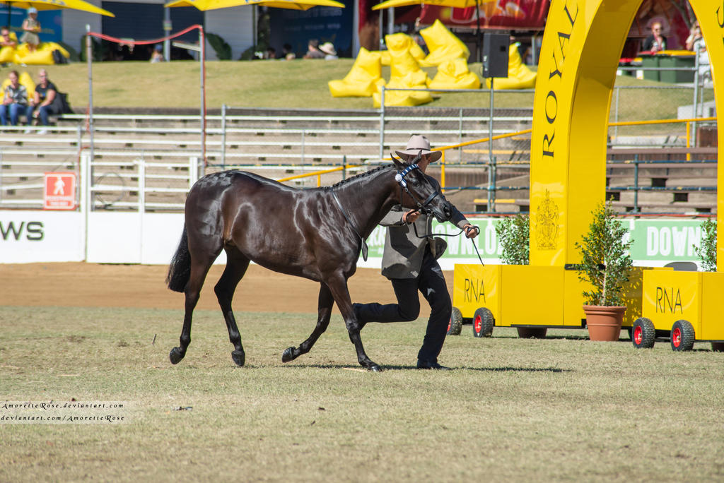 RQS Arab Derivative #55 by AmoretteRose on DeviantArt