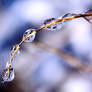 Icy Droplets
