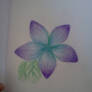 purple flower