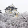 Osaka Castle in the snow