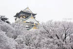 Osaka Castle in the snow by Tim-Wilko