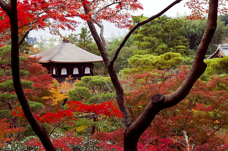 Ginkaku-ji