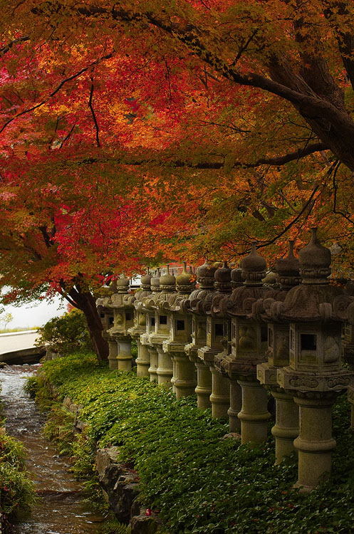 Katsuo-ji Lanterns