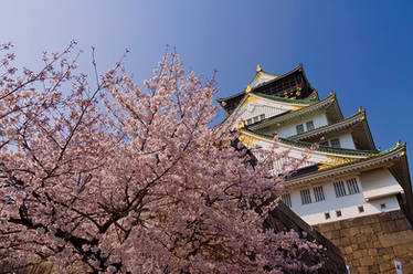 Osaka castle in spring.