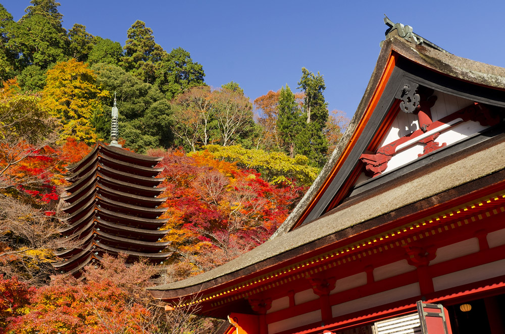Tanzan Jinja
