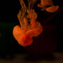 Fluids I