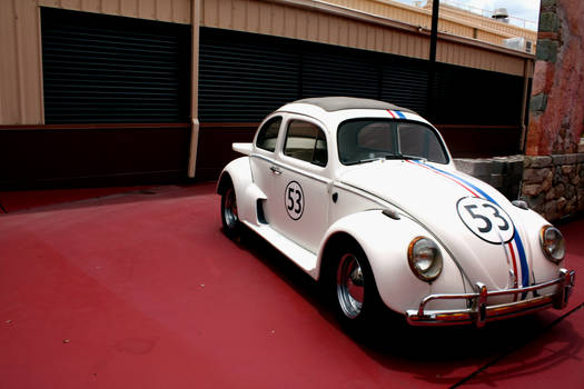 Herbie