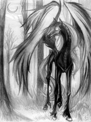 Midnight Forest Thestral