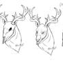 Ove - deer skull mask concept