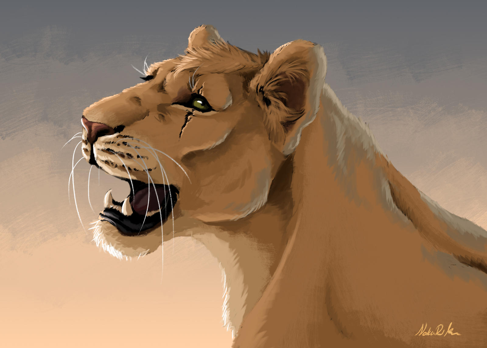Kabi sketch by NokaRi22 on DeviantArt