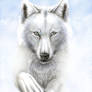 From the Clouds: WOLF PRESERV.