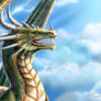 DRAGON: To Soar the Skies