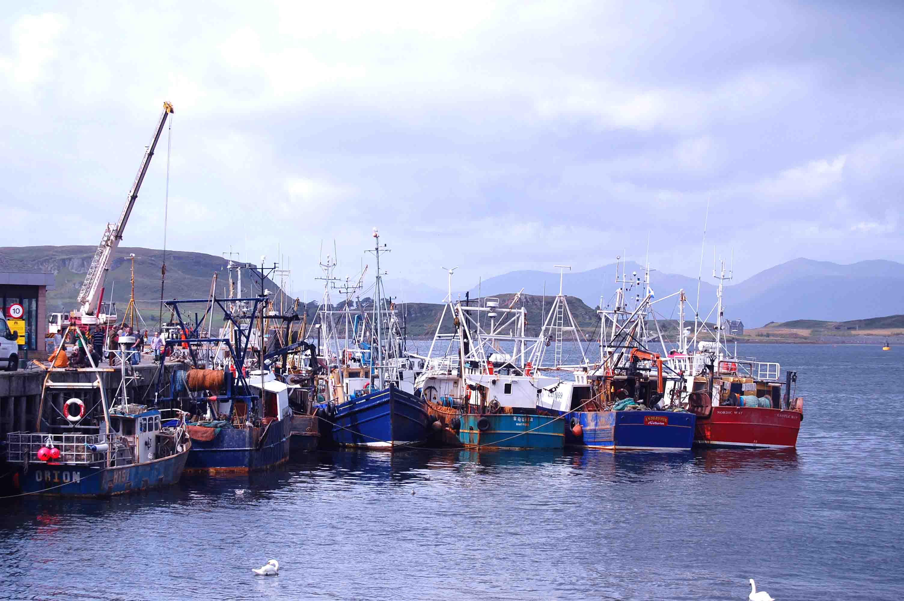 Oban boats