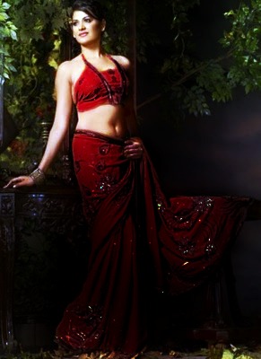 Traditional Indian Sari