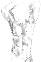 Male Body