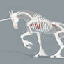 sketch unicorn