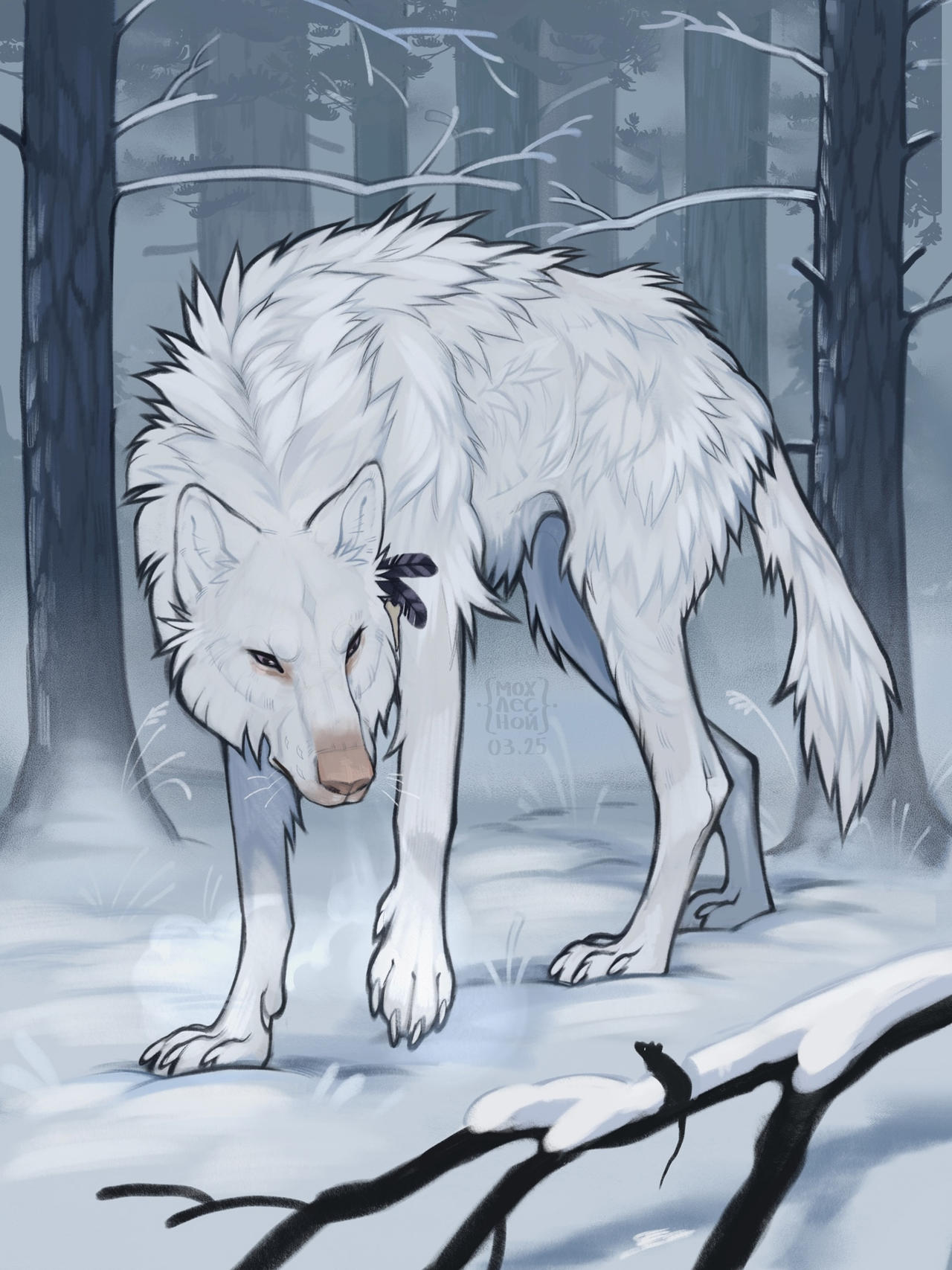The snow wolf