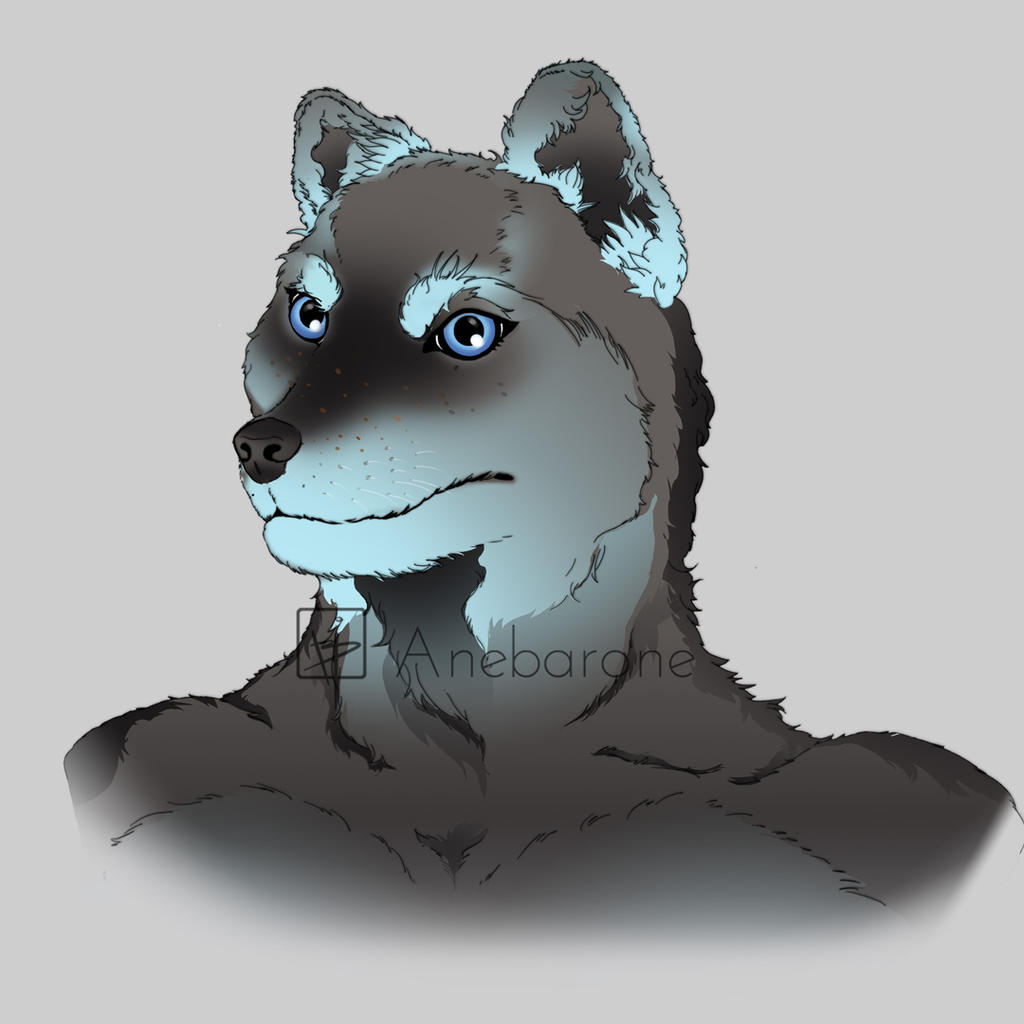 Wolf - Portrait Gradient