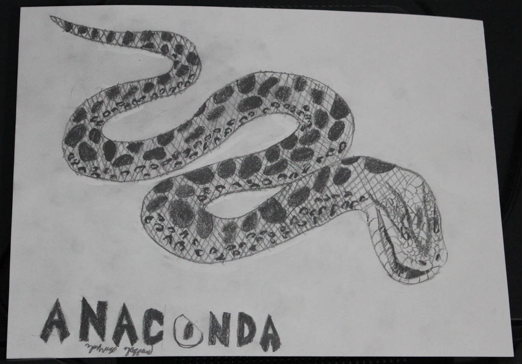Anaconda 1997 Drawing by Ziggerotron7 on DeviantArt