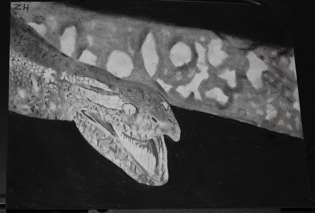 Anaconda 1997 Drawing 2 by Ziggerotron7 on DeviantArt