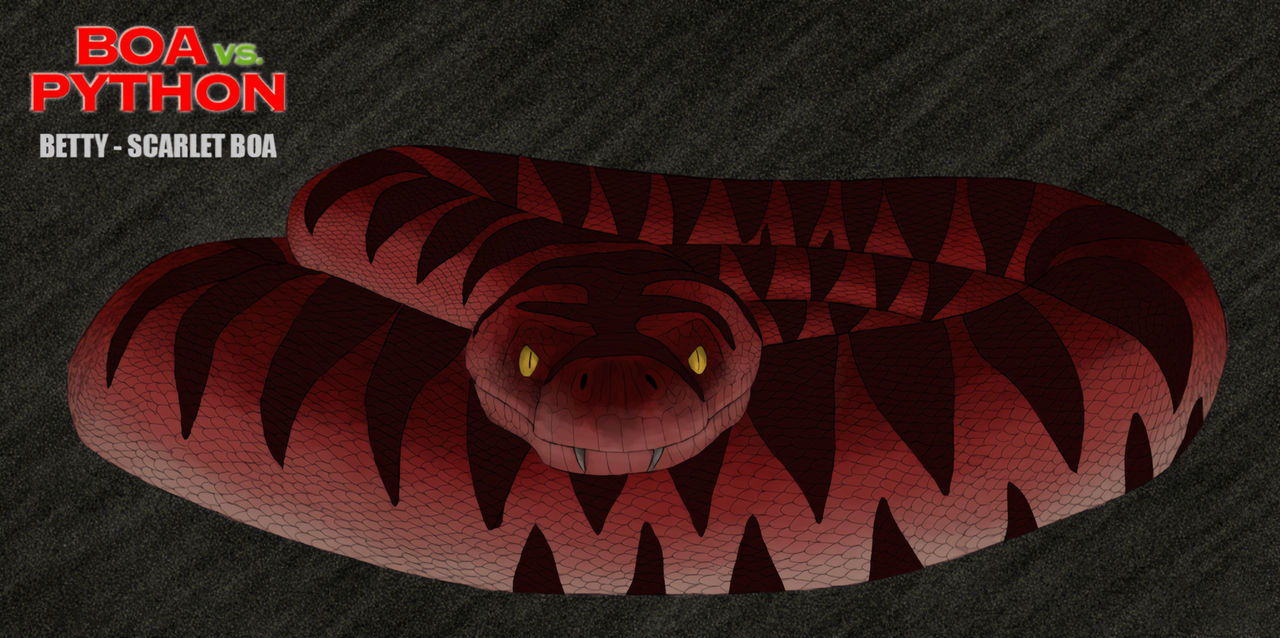 Boa vs Python(2004) - Betty Scarlet Boa by Ziggerotron7 on DeviantArt