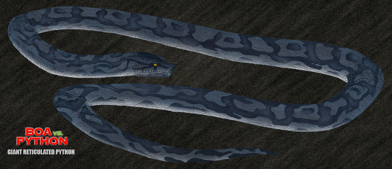 Boa Vs Python 04 Giant Reticulated Python By Ziggerotron7 On Deviantart Boa Vs Python 04 Giant Reticulated Python By Ziggerotron7 On Deviantart