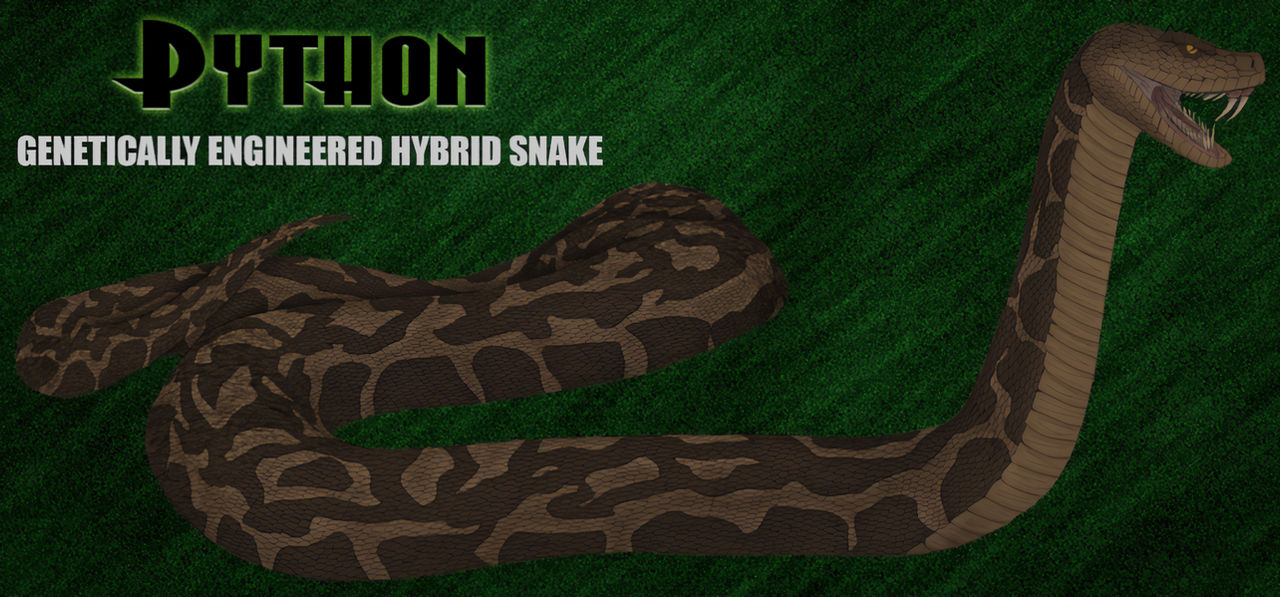 Python 2000 Deviantart Boa Python (2000) Genetically Engineered Hybrid Snake by Ziggerotron7 on ...