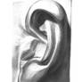 Ear Sculpture I