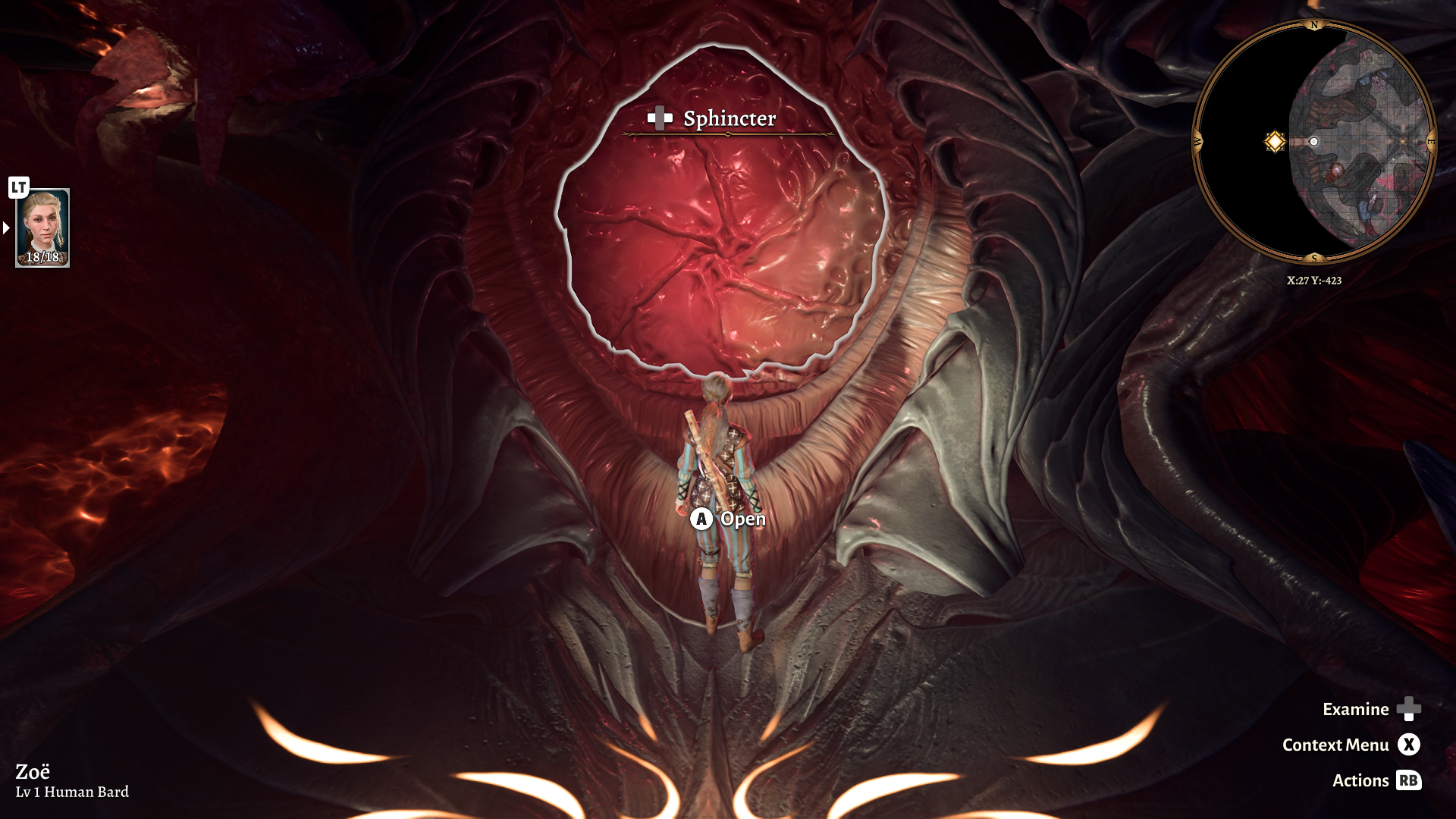A screenshot from Baldur's Gate 3 of the player character standing in front of a door, which looks like and is labelled as a sphincter.
