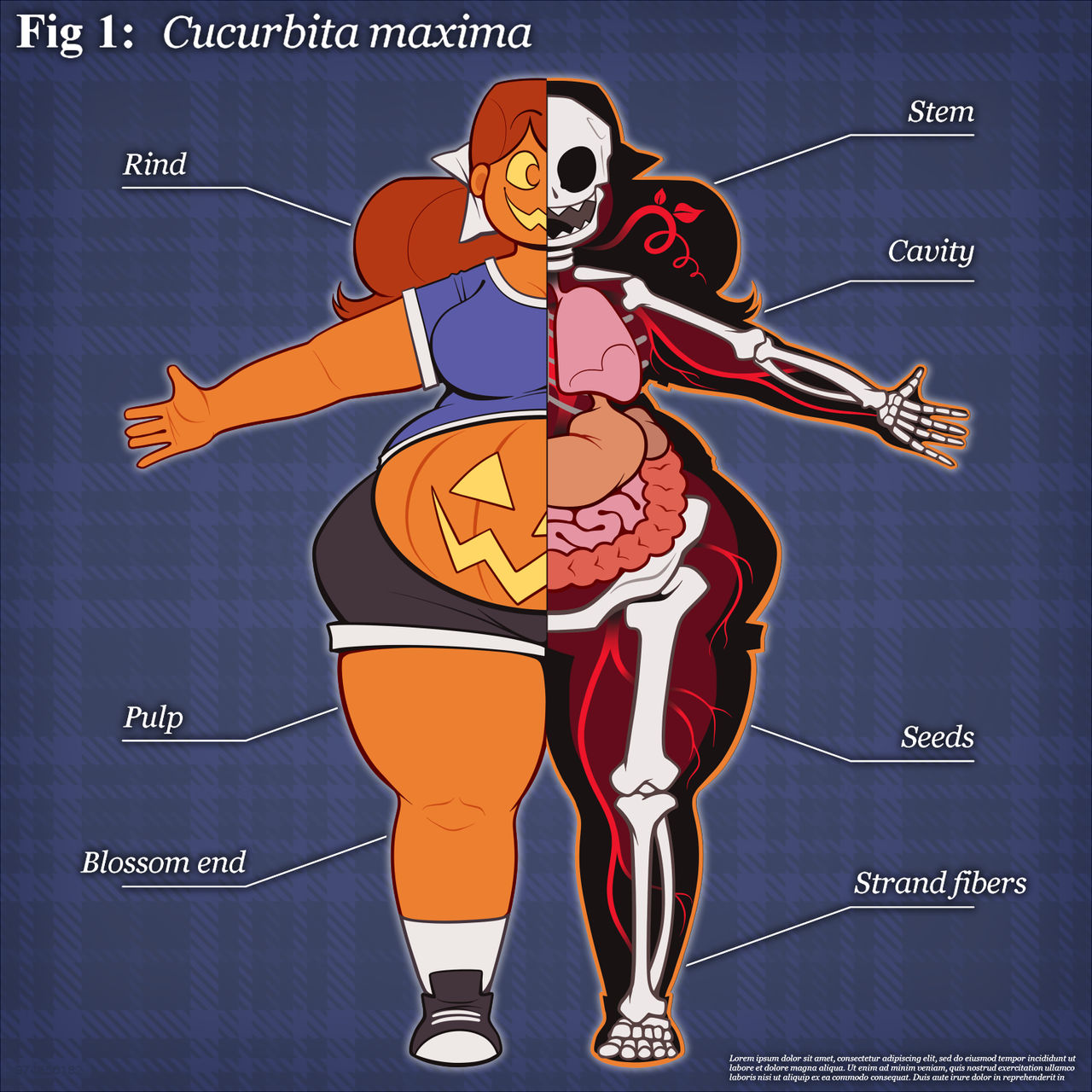 August anatomy shirt