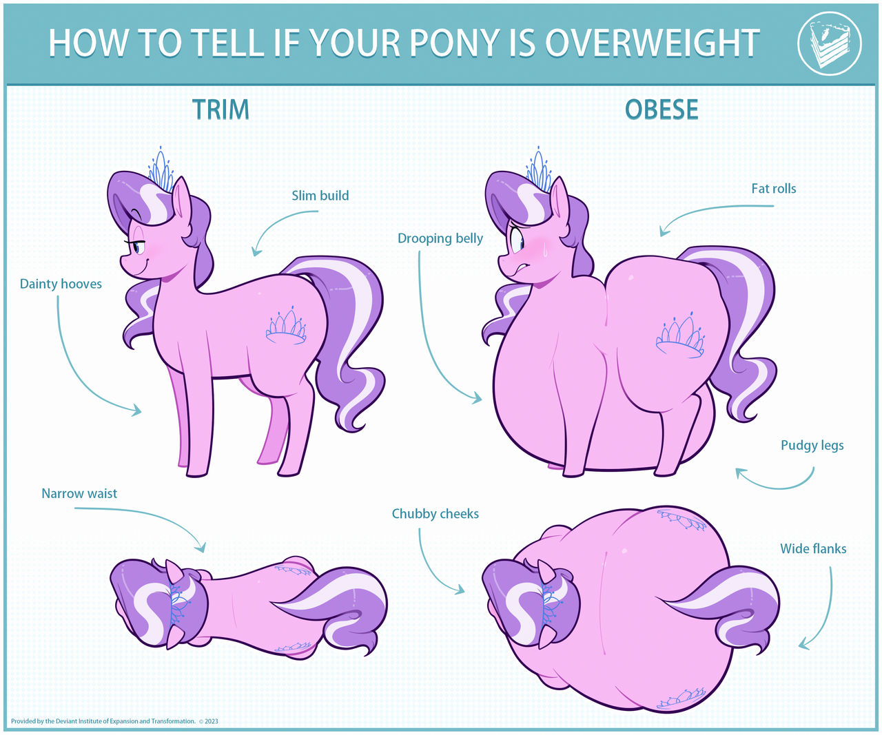 Chubby Diamond chart
