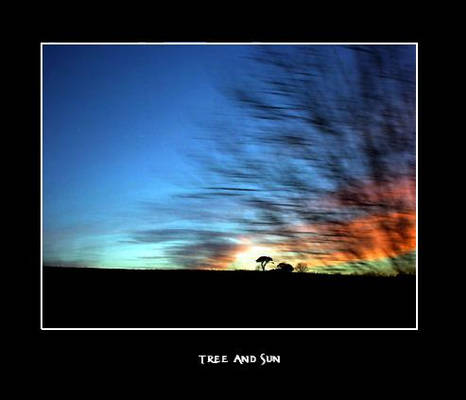 Tree and sun ..