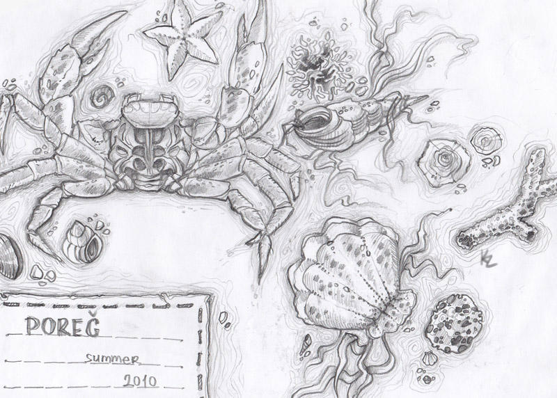 Crabshells by Beffana on DeviantArt