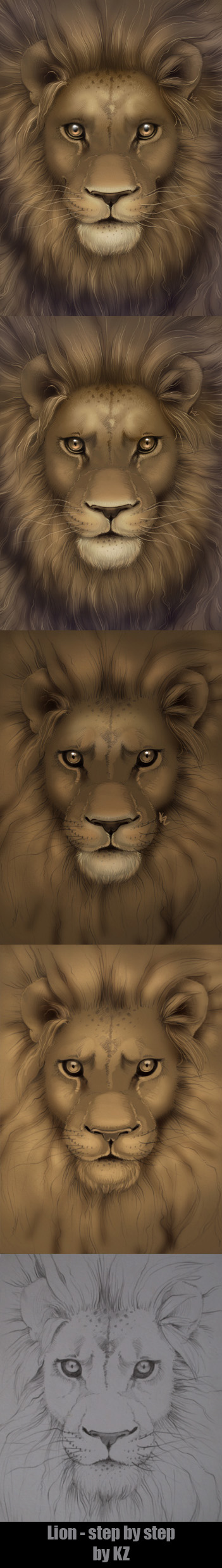 Lion - step by step