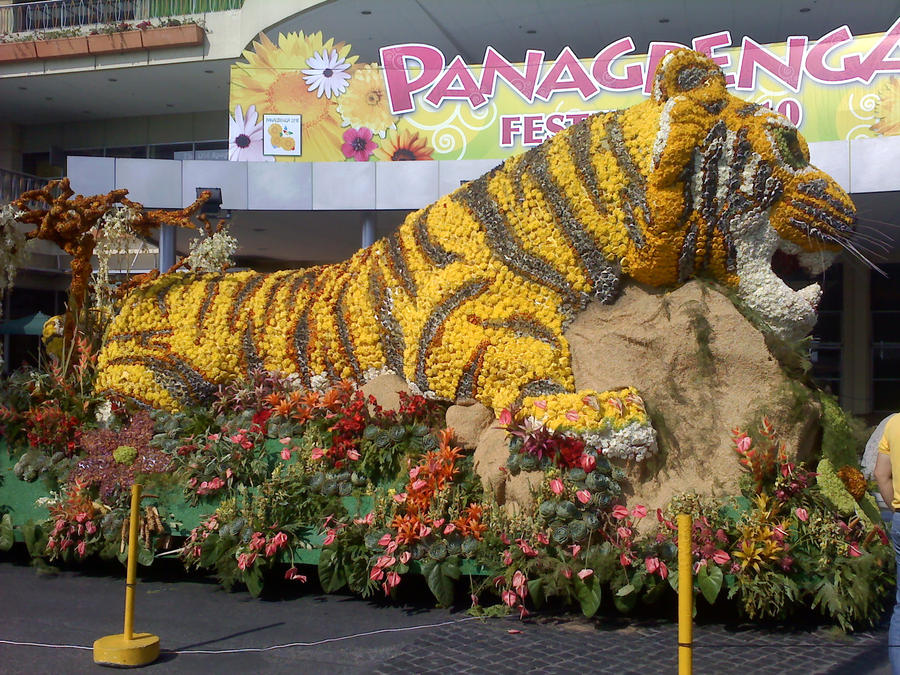 Tiger Float Sample tiger float's body by celestearcher on DeviantArt