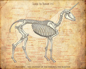 Unicorn Skeleton