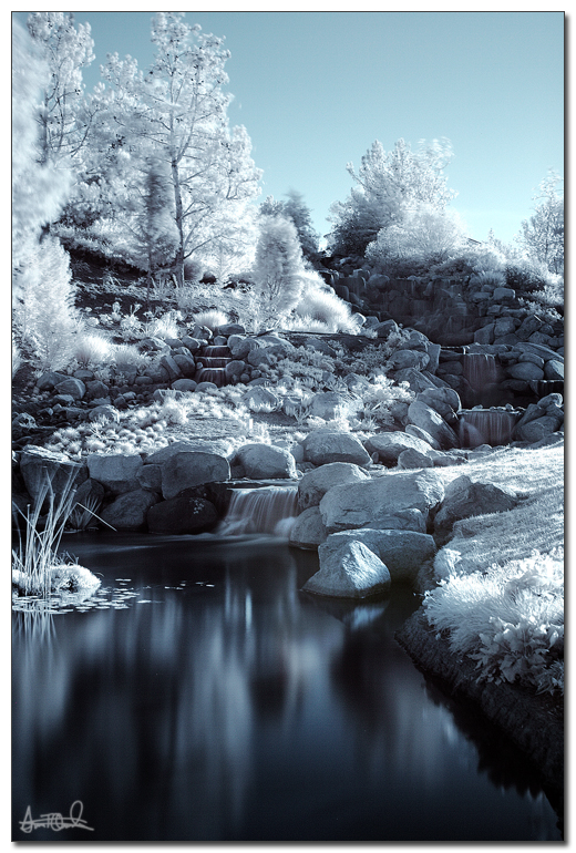 a cold swim