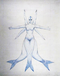 Vitruvian Mermaid